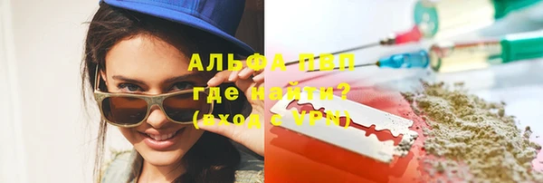 прущий лед Алзамай